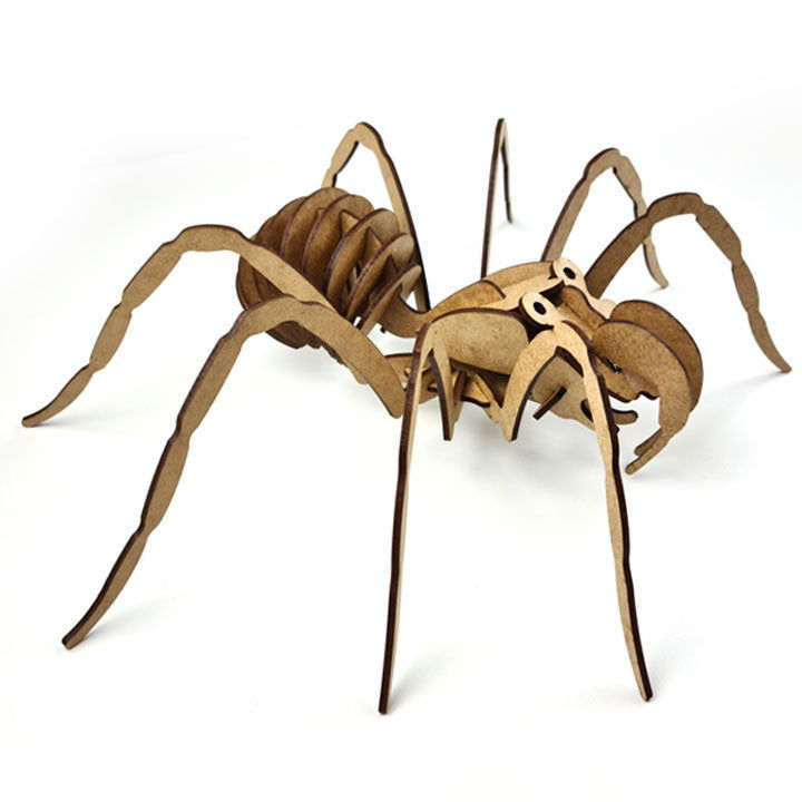 Aranha 3D