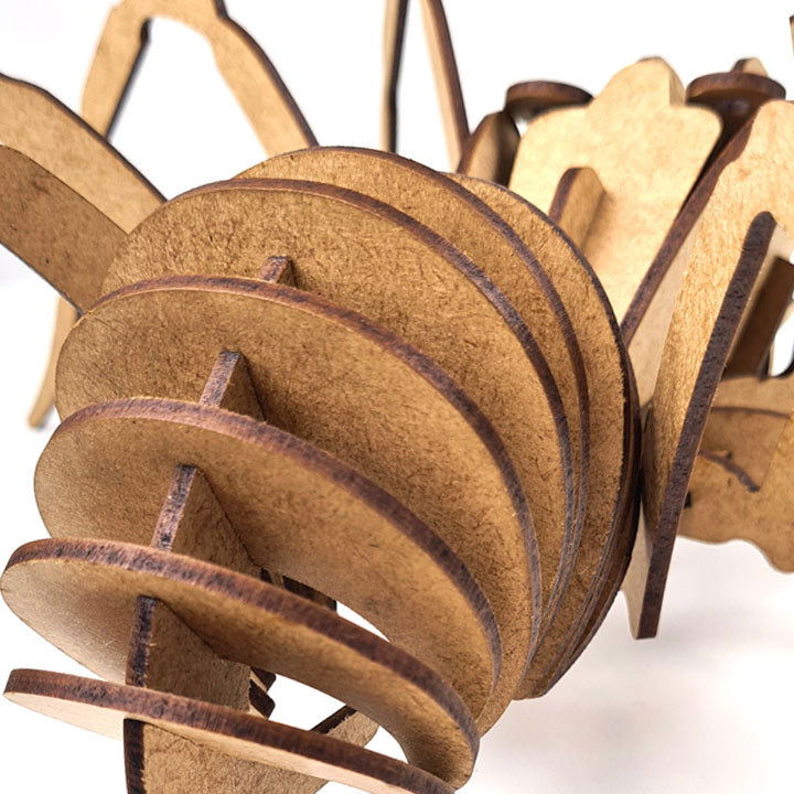 Aranha 3D