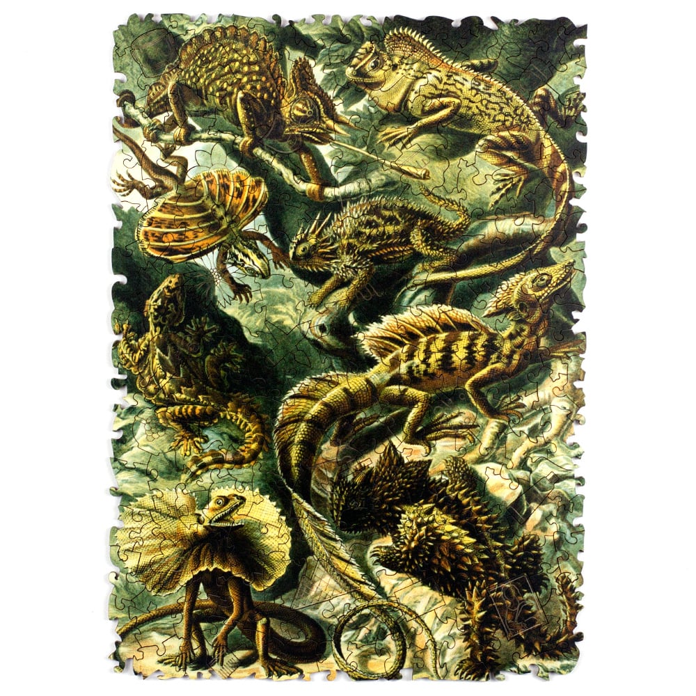 Quebra-Cabeça Lacertilia – Ernst Haeckel
