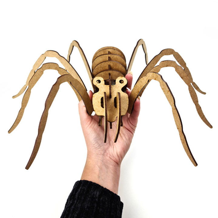 Aranha 3D