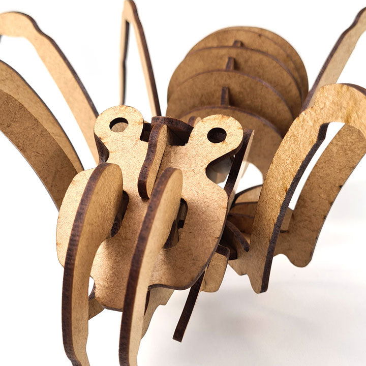 Aranha 3D