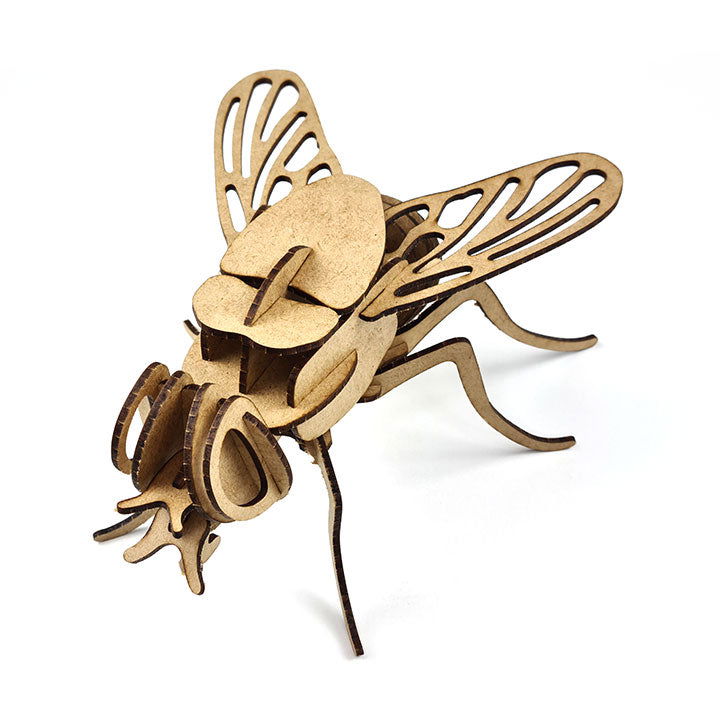 Mosca 3D
