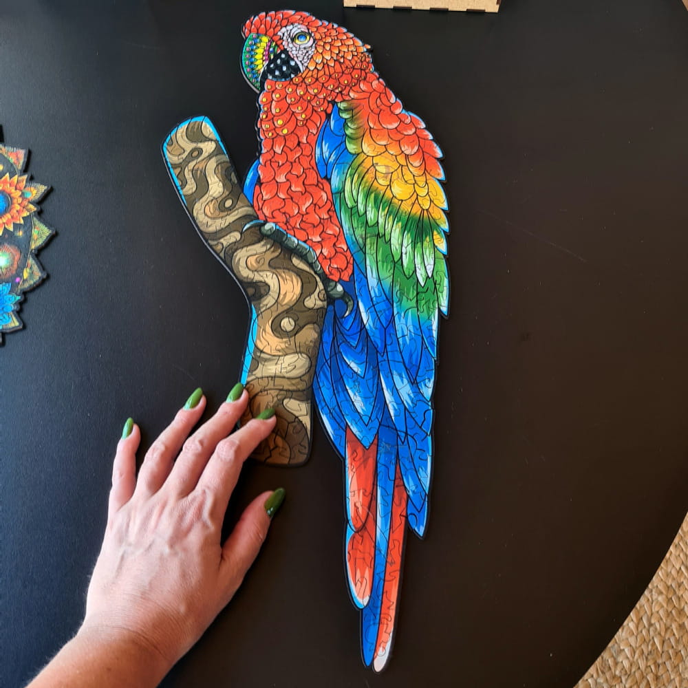 Uma mão na frente do quebra-cabeça da Arara para ver a proporção de tamanho.