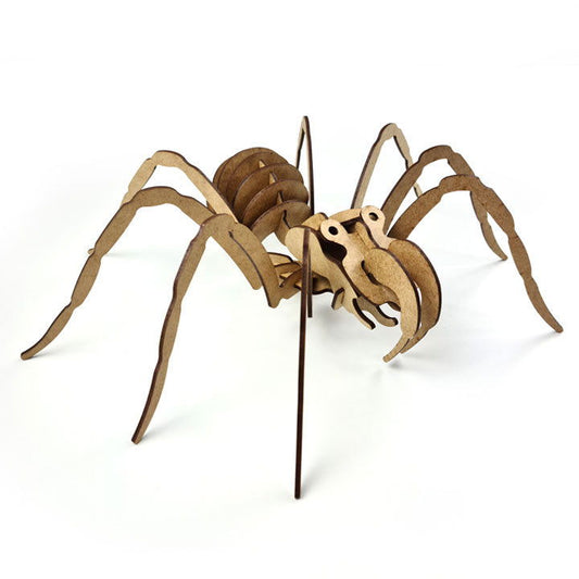 Aranha 3D