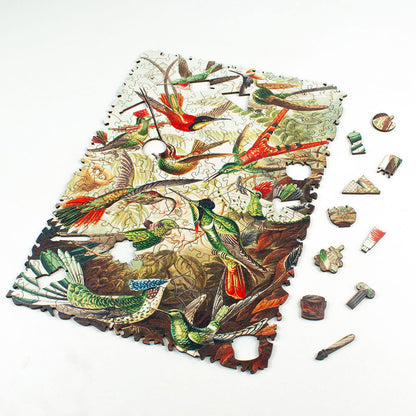 Quebra-Cabeça Trochilidae–Kolibris