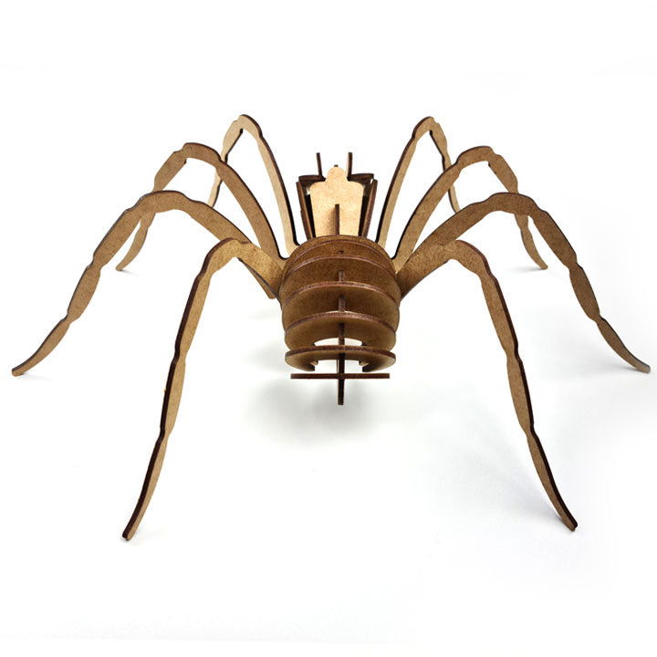 Aranha 3D