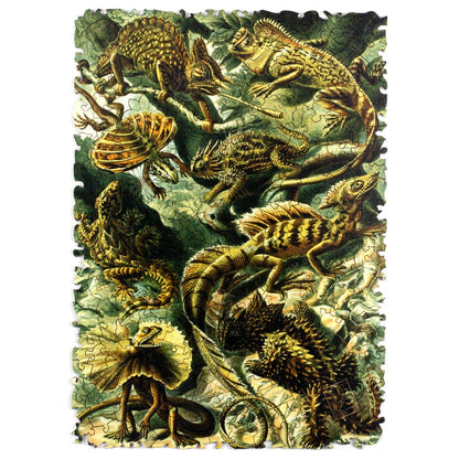 Quebra-Cabeça Lacertilia – Ernst Haeckel
