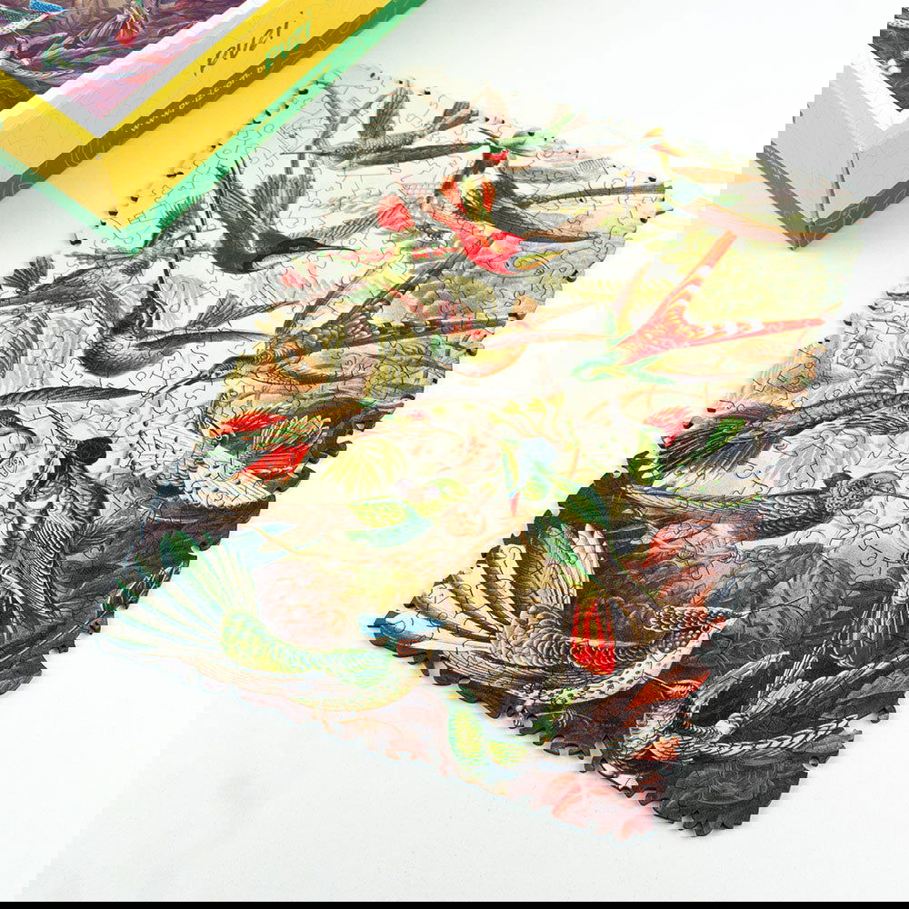 Quebra-Cabeça Trochilidae–Kolibris